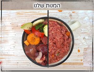 מזון טבעי