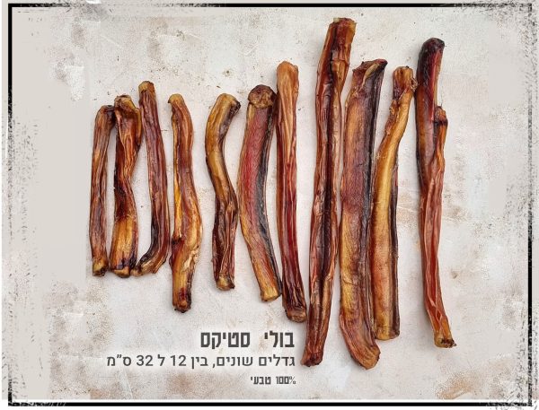 החטיף תעסוקה ולעיסה לזמן ממושך הכי מבוקש עשוי טרי טרי בעבודת יד... בוליסטיקס במגוון גדלים שתמצאו רק אצלנו