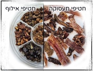 חטיפים